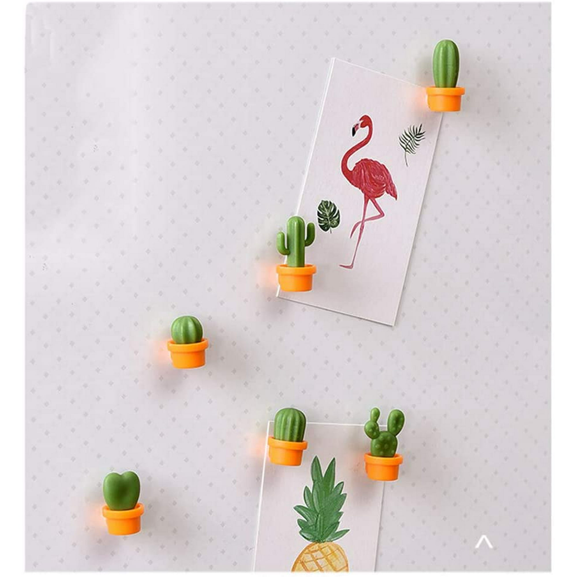 Damaie Decorative Refrigerator Magnets Perfect Fridge Magnets For House Office Personal Use 12pcs Cactus Other