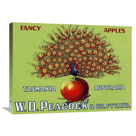 Global Gallery's 'W.D. Peacock Fancy Apples' By Retrolabel Stretched Canvas Wall Art
