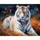 thumbnail image 1 of 5D DIY Taladro Diamante Pintura Tigre Kit Del Arte Artesanía 50x40cm, 1 of 8