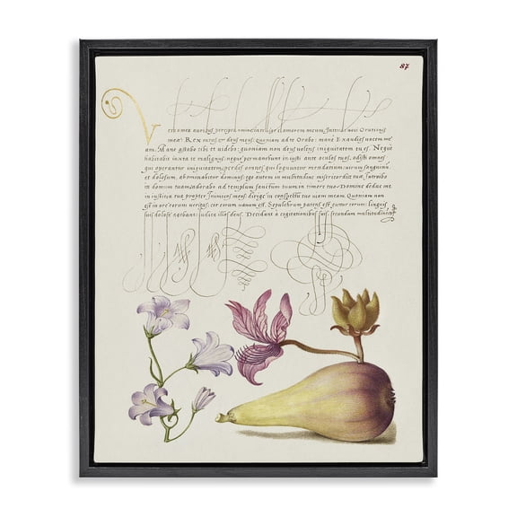 Stupell Industries Transitional Classical Cottage Plants Black Floating Frame Canvas Art, 17 x 21, by Melissa Wang