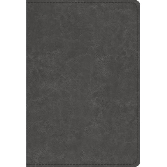 Student Study Bible-ESV, (Hardcover)