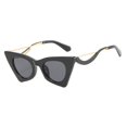 thumbnail image 1 of TISHITA Cat Eye Sunglasses Women Plastic Frame Protection Shades Eyewear Black, 1 of 8