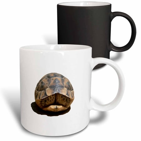 3drose, Tortoise Tucked in Vector Art Cut, 11oz Magic Transforming Mug