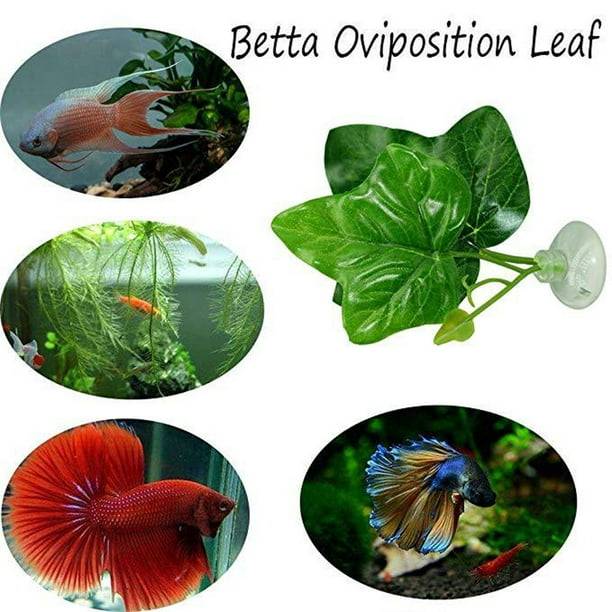 Betta Fish Leaf Pad, Non-toxic Fish Tank Decorations Aquarium