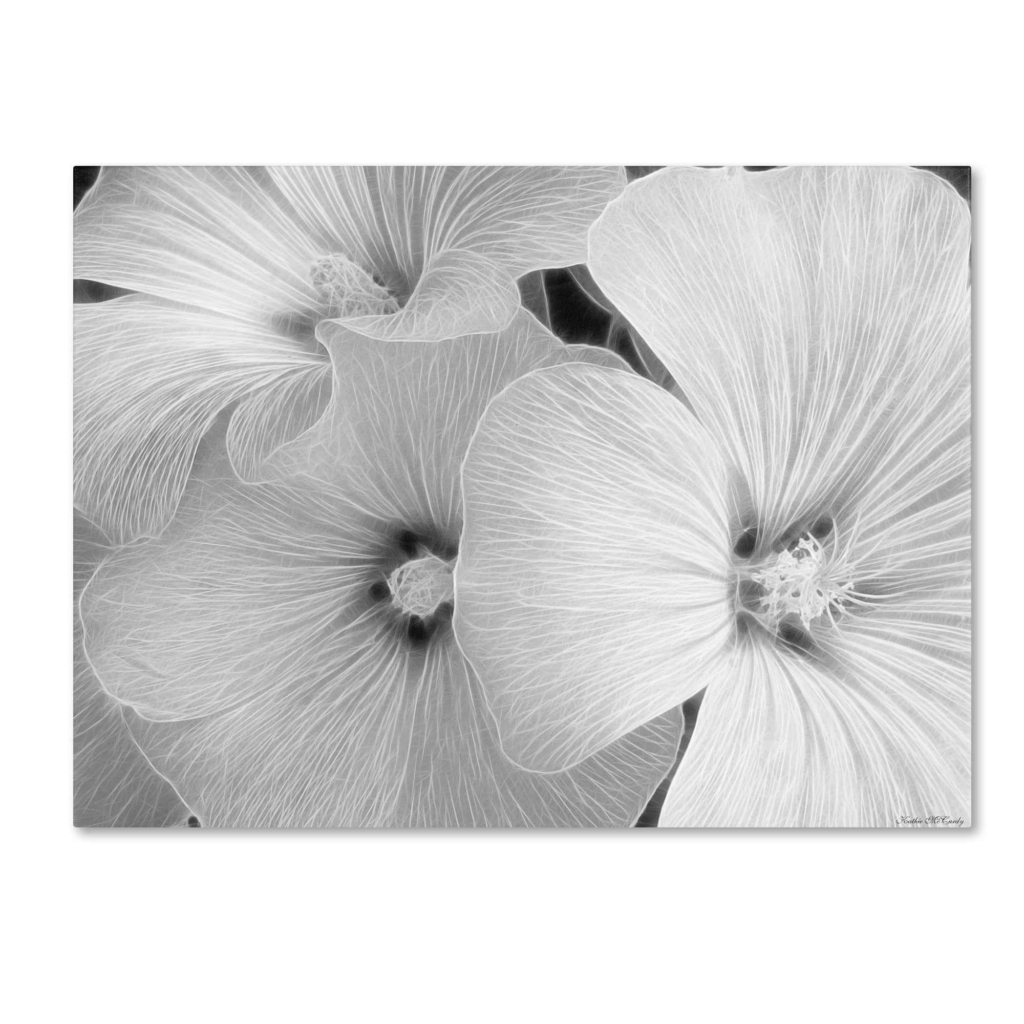Trademark Fine Art "Sheer Malva" Canvas Art by Kathie McCurdy