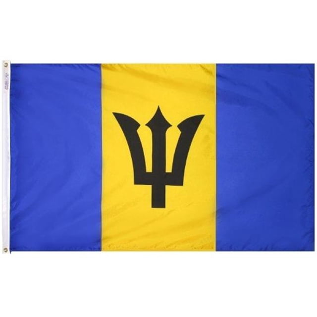 Annin Flagmakers 190535 Drapeau Nyl-Glo Barbados 2 Pi. X 3 Pi.