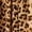 Brown, variant on INC International Concepts Womens Cheetah Print Flutter Sleeve Dress Classic Cheetah XL