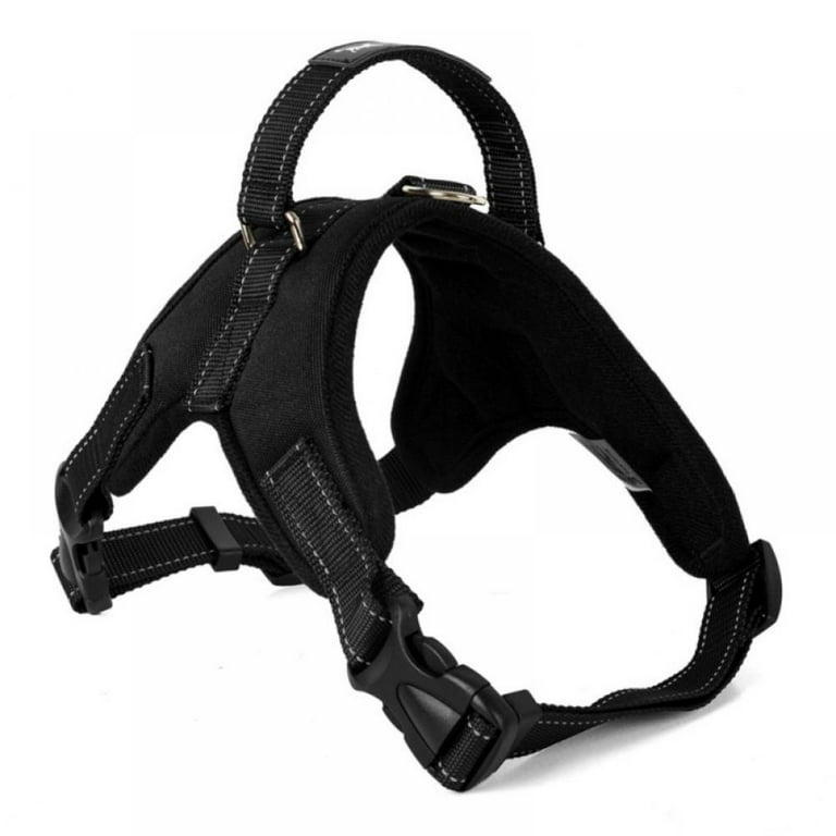 Dog 2024 harness walmart