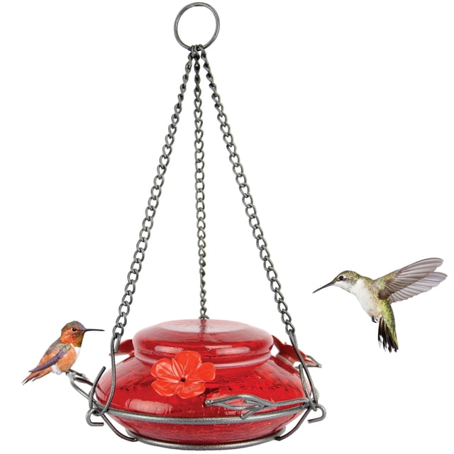 Comedero para colibríes Nature's Way MHF4, 473 ml, vidrio rojo