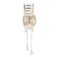 thumbnail image 1 of Hair Claw Clips Alloy Strong Hold Non Slip Artificial Pearls Hair Styling Accessories for LadiesHalf Round, 1 of 5