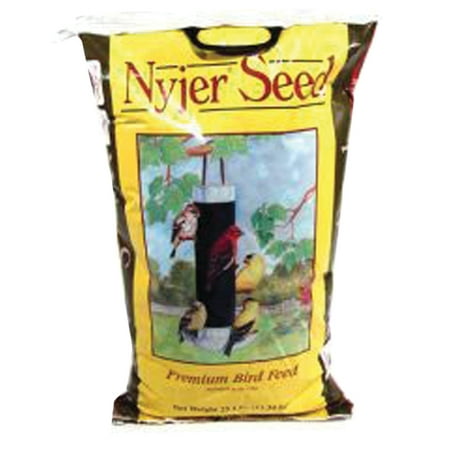 NYJER SEED