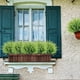 thumbnail image 4 of Oioii Artificial Grass Plant, decorative green plants, for Room Indoor Home Decor Christmas Thanksgiving decorative green plants, 4 of 6