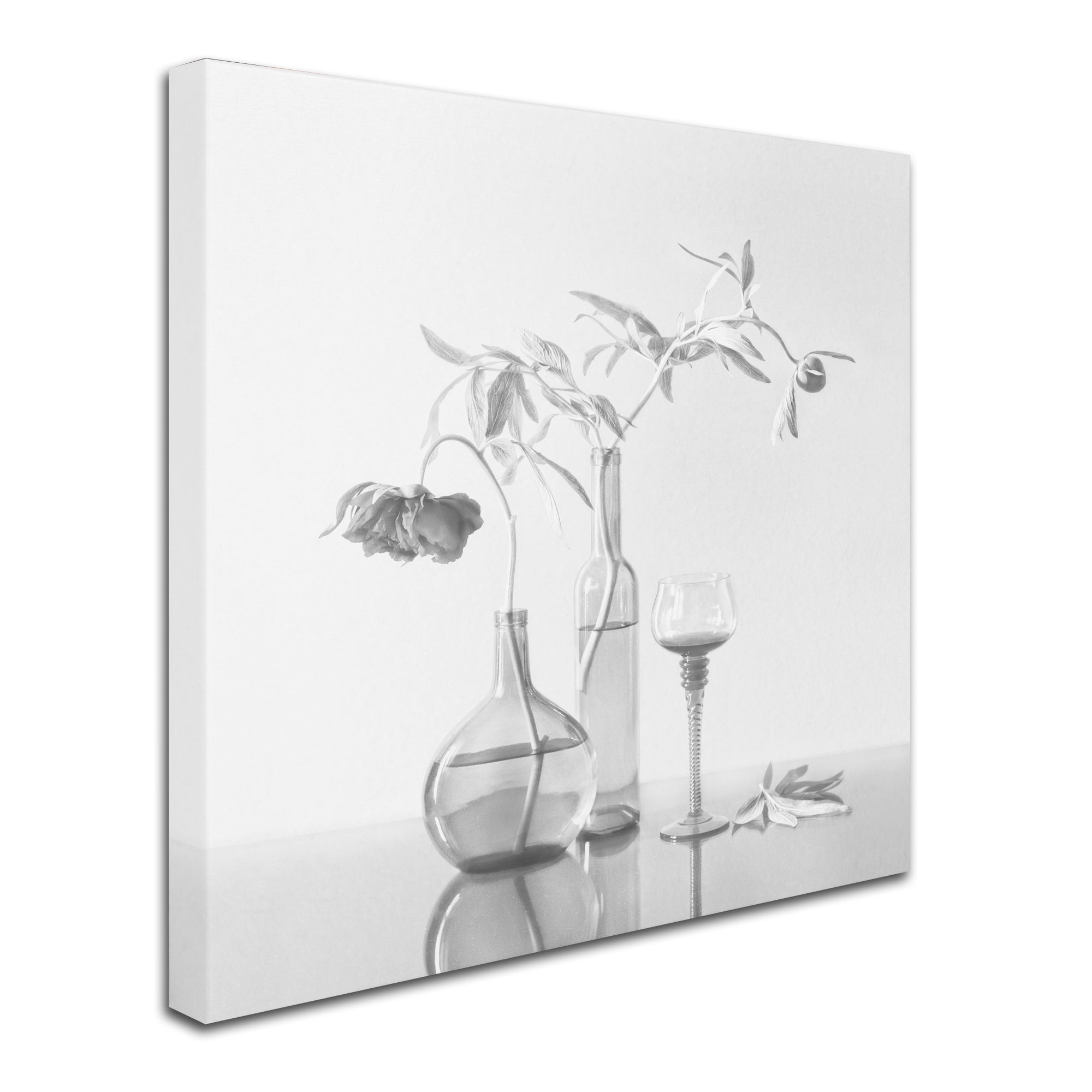 Trademark Fine Art 'Still Life With Peonies' Canvas Art by Dimitar Lazarov