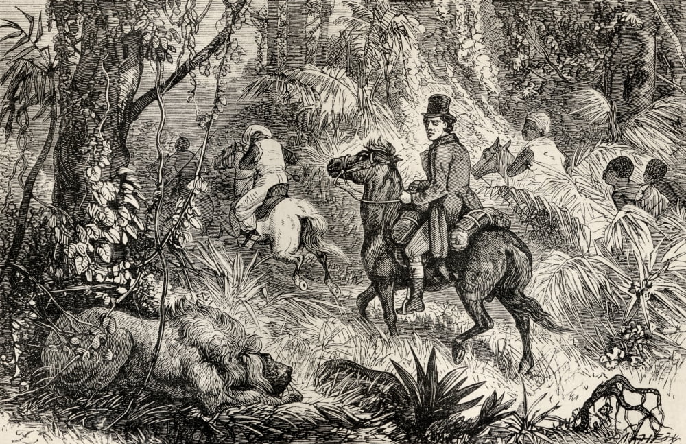 Mungo Park 1771 To 1806 Scottish Explorer Encountering A Lion Whilst On His Way To The Village Of Modiboo During His Exploration Of Africa In 1795 From The Life And Travels Of Mungo Park Published 187