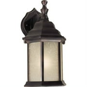 Forte Lighting 1 Light Outdoor Wall Lantern