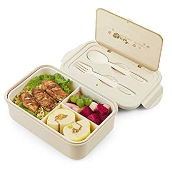 adult lunch containers
