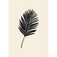 thumbnail image 3 of Uppsala Studio 18x24 Black Modern Framed Museum Art Print Titled - Black Palm, 3 of 5