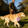 thumbnail image 4 of Dog Bowl Silicone Foldable Portable BPA-Free No Leak Travel Cup for Outdoor Camping Small Medium Pets by MPOISVA, 4 of 4