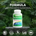 thumbnail image 6 of (3 pack) Best Naturals Berberine 500mg 120 Capsules | Supports Immune Function, Cardiovascular & Gastrointestinal Function, 6 of 9