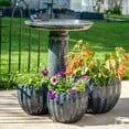 thumbnail image 4 of Sunnydaze Toulon Freestanding Ceramic Outdoor Bird Bath, UV-Resistant Black Mist Finish, 4 of 9