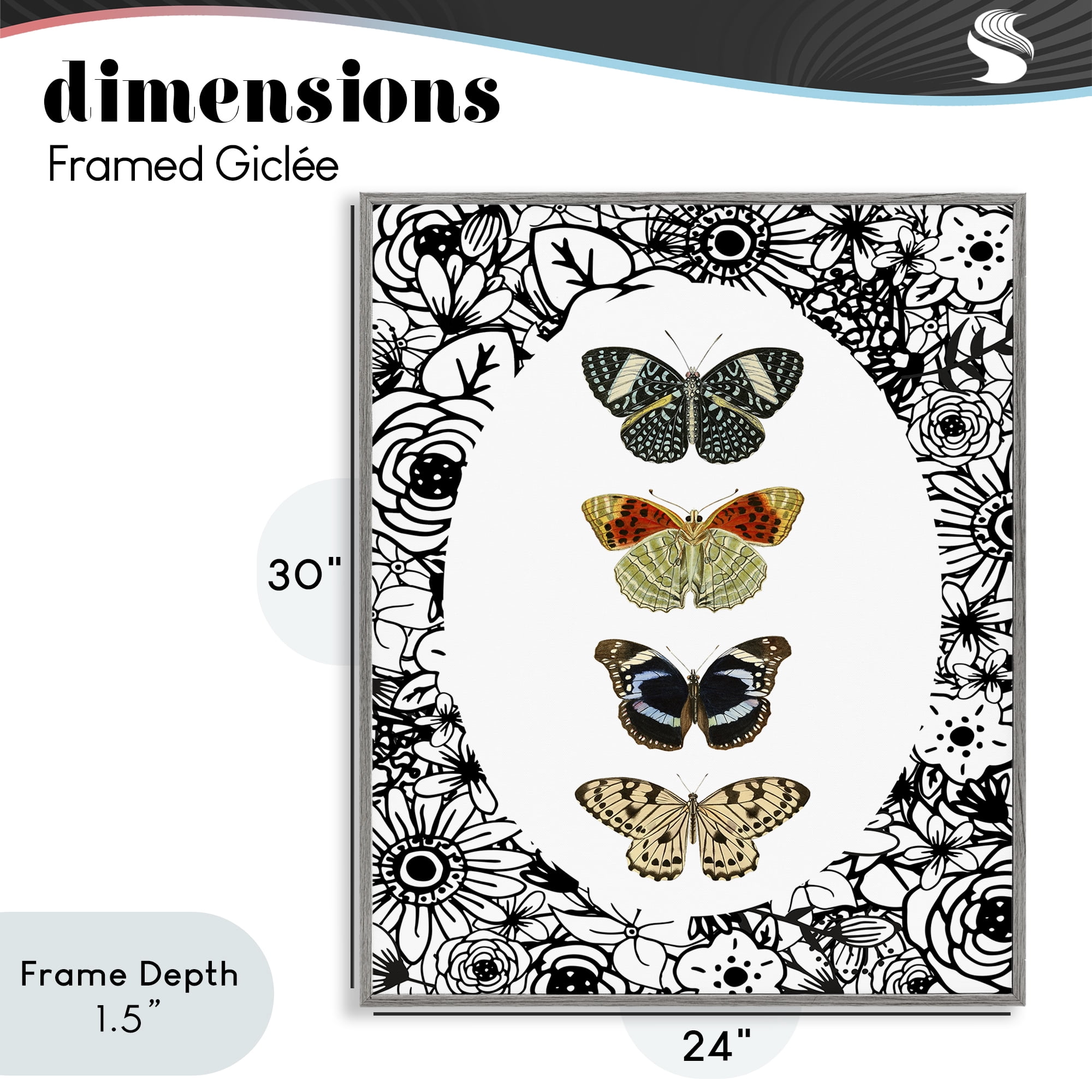 Stupell Industries Floral Butterfly Lineup Gray Framed Giclee Art, design by Dan Meneely