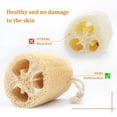 thumbnail image 5 of Xiao Hua Esponja de lufa natural orgánica de 6 piezas, esponja de lufa sin blanquear, exfoliante de ducha ecológico, adecuado para la limpieza profunda y el cuidado de la piel del cuerpo., 5 of 5