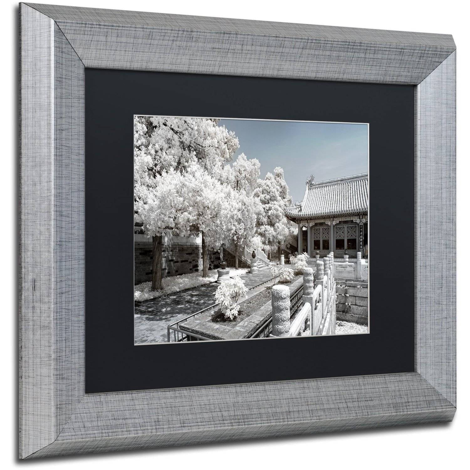 Trademark Fine Art "Reflection" Canvas Art by Philippe Hugonnard, Black Matte, Silver Frame