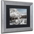 thumbnail image 2 of Trademark Fine Art "Reflection" Canvas Art by Philippe Hugonnard, Black Matte, Silver Frame, 2 of 4