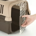 thumbnail image 5 of Richell Double Door Pet Carrier Size Medium in Brown, Travel Carrier for Dogs or Cats up to 17.6 lbs, 5 of 7
