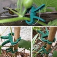 thumbnail image 4 of 60 Pieces Plant Clips For Fixing Tomatoes, Roses, Cucumbers And Other Climbing Plants 2 Sizes Reusable Plant Clips (30 Large Clips And 30 Small Clips), 4 of 5