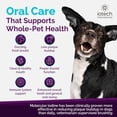 thumbnail image 4 of Recommended by Veterinarians Because it Simply Works Better. ioVet Oral Pet Water additive effortlessly Helps Your pet to The Clean, Healthy Mouth & Dazzling Fresh Breath You've Always Hoped for., 4 of 7