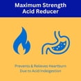 Aurohealth Acid Reducer for Heartburn and Indigestion Relief, 20mg ...