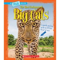 Big Cats