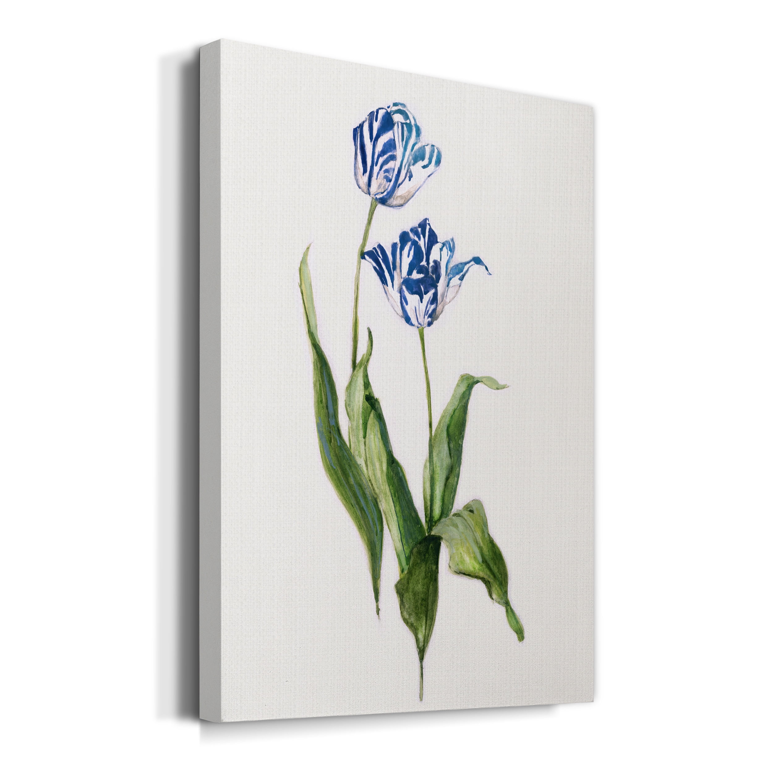 Blue Lively Botanical II Premium Gallery Wrapped Canvas - Ready to Hang - 32 x 48