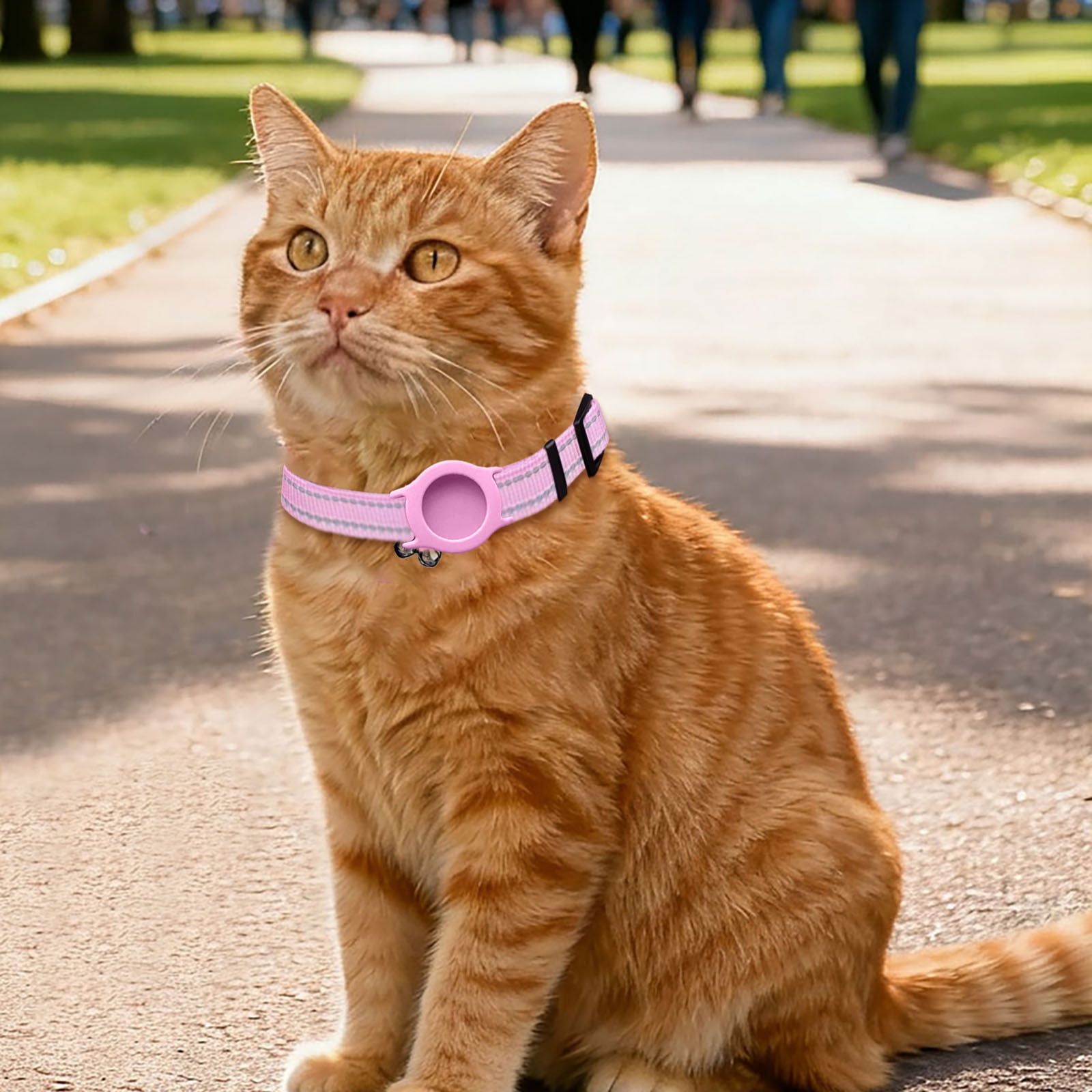 GPS Pet Locator Tracker with Adjustable Collar for Dogs & Cats, Long Battery Life Real-Time Tracking Device, Compatible with iOS Android for Anti-Lost Pet Location Monitoring