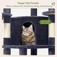 thumbnail image 4 of Torre para Gatos Globlazer C51 para Interiores, Gris Oscuro, 4 of 8