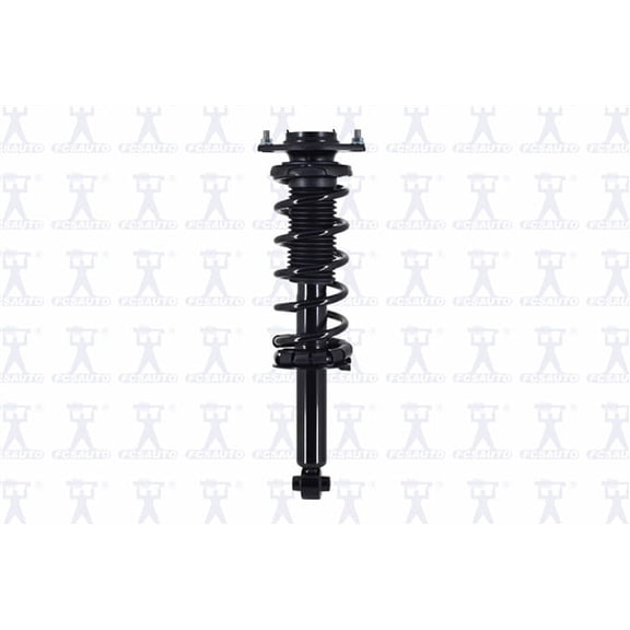 Suspension Strut and Coil Spring Assembly