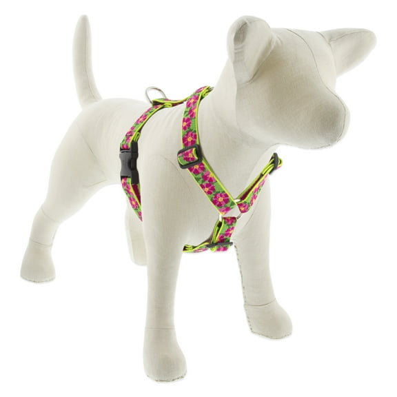 Lupine Adjustable Dog Harness in 1" Wide Petunias with 24-38" Girth