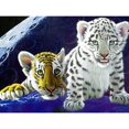 thumbnail image 1 of 5D DIY diamante pintura tigre punto de cruz bordado mosaico Kit costura Hugtrwg Para estrenar, 1 of 9