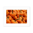 thumbnail image 1 of Fotografía naturaleza calabaza fresca imagen Marco de Fotos de escritorio imagen Blanco Pintura arte 5x7 pulgadas, 1 of 4