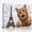 C, variant on XaaKee Canvas Wall Art Orange Tabby Humorous Animal Portrait Travel Concept Prints Inner Framed 1812Inch
