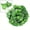 Sweet potato, variant on 100/2M Artificial Green Ivy Vine Garland Fake Leaf Plants Rattan Hanging Creeper Garlands for Garden Wedding Party Wall Decors