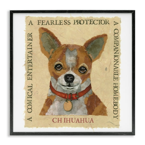Stupell Industries Fun Chihuahua Pet Phrases Animals Painting Black Framed Art Print Wall Art, 12 x 12