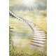 thumbnail image 1 of Fondo de fotografía ABPHQTO 150x220cm Escalera al cielo Luz solar Flores Vid, 1 of 2