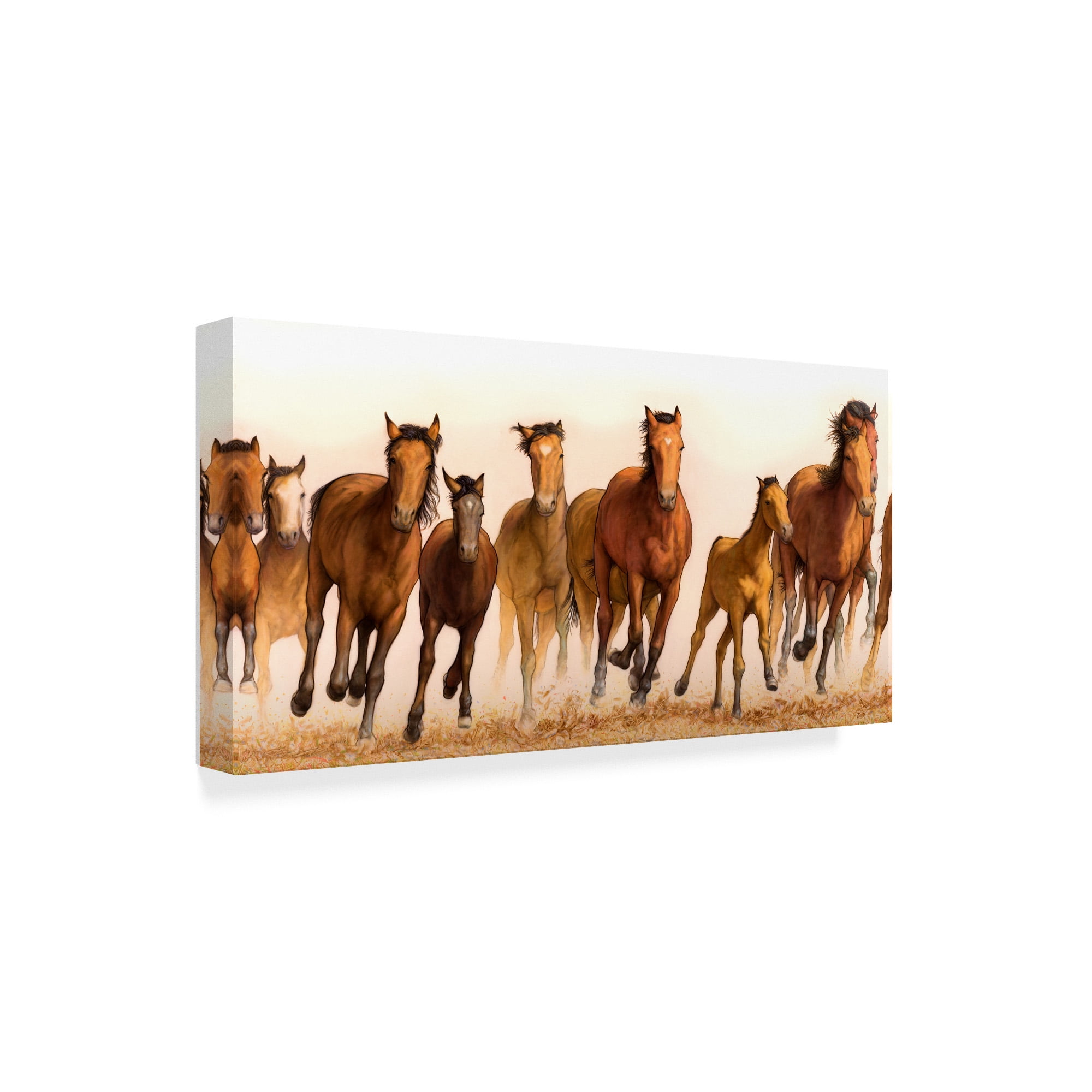 Trademark Fine Art 'Running Horses Group' Canvas Art by James W. Johnson