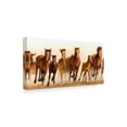 thumbnail image 2 of Trademark Fine Art 'Running Horses Group' Canvas Art by James W. Johnson, 2 of 3