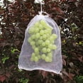 thumbnail image 3 of Insect Proof Mesh Bag, Bird Netting Fruit Protection Bags, Breathable Drawstring Pest Barrier for Grapes Peaches Figs and Strawberries, Reusable Garden Crop Cover, 3 of 6