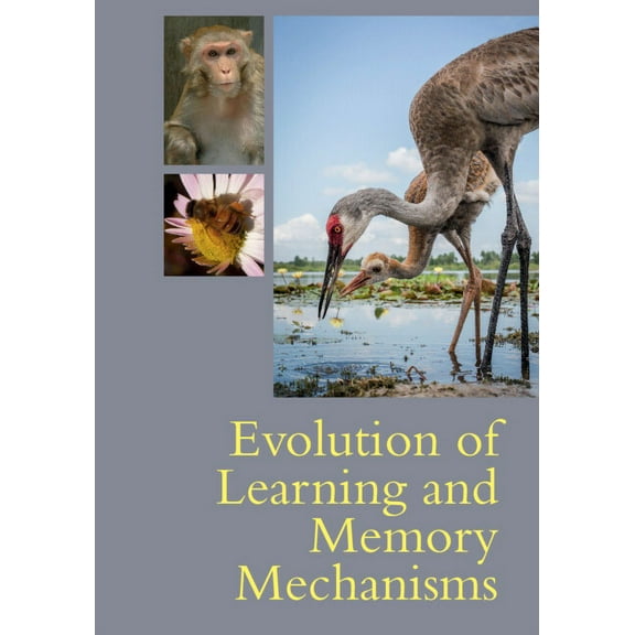 Evolution of Learning and Memory Mechanisms, (Paperback)