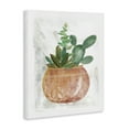 thumbnail image 3 of Stupell Industries Bohemian Succulent Planter Vase Canvas Art, 24 x 30, by Carol Robinson, 3 of 7