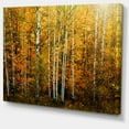 thumbnail image 2 of Yellow Colorful Autumn Forest - Forest Canvas Art Print, 2 of 4